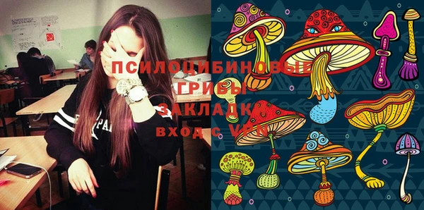 apvp Сясьстрой