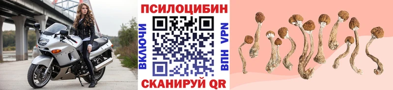 Галлюциногенные грибы ЛСД  Богородск 